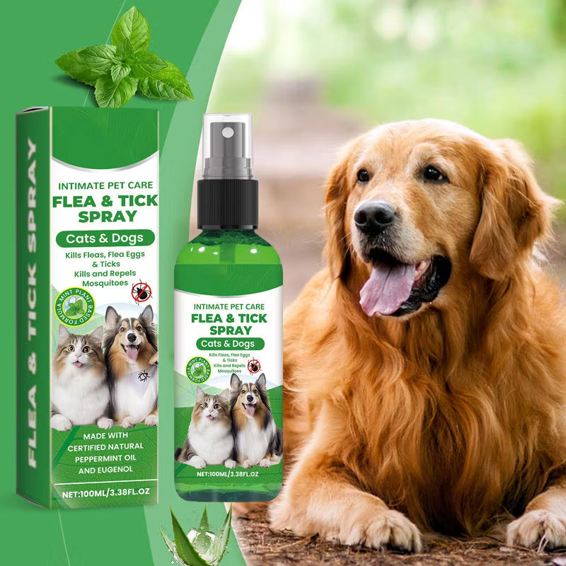 🐶 3 kaufen, 2 gratis 🐱 Haustierabweisendes Reinigungs- und Pflegespray