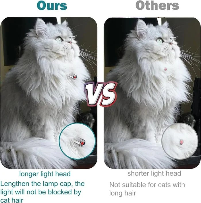 PawLuxe™ | Interaktives Laser-Spielzeughalsband für Katzen