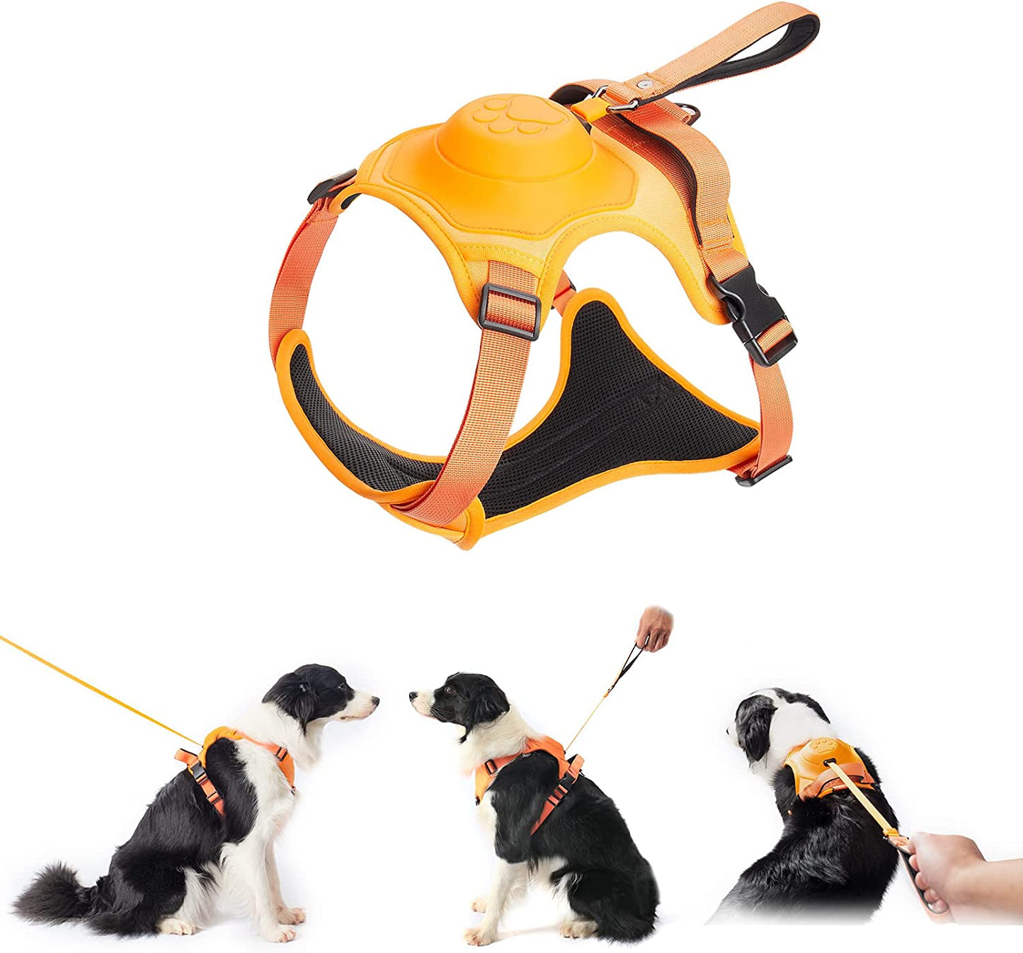 Komplettset aus Hundegeschirr und ausziehbarer Leine