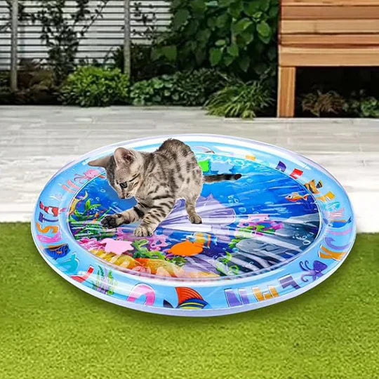 AquaPlay - Die perfekte Wassermatte für Haustiere | 50% RABATT
