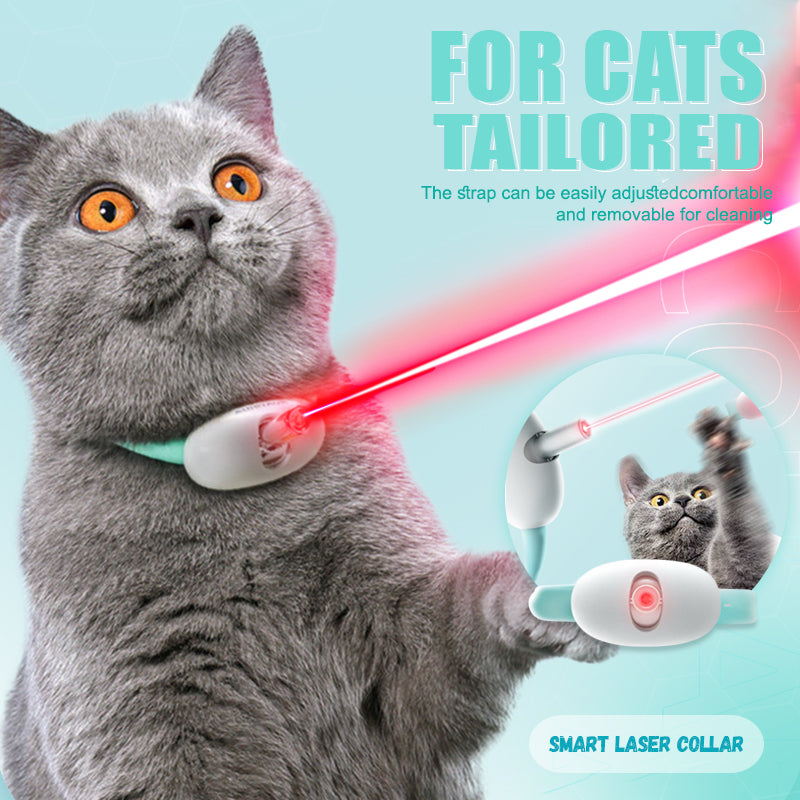 PurrPlay - Halten Sie Ihre Katze sofort aktiv, gesund und glücklich