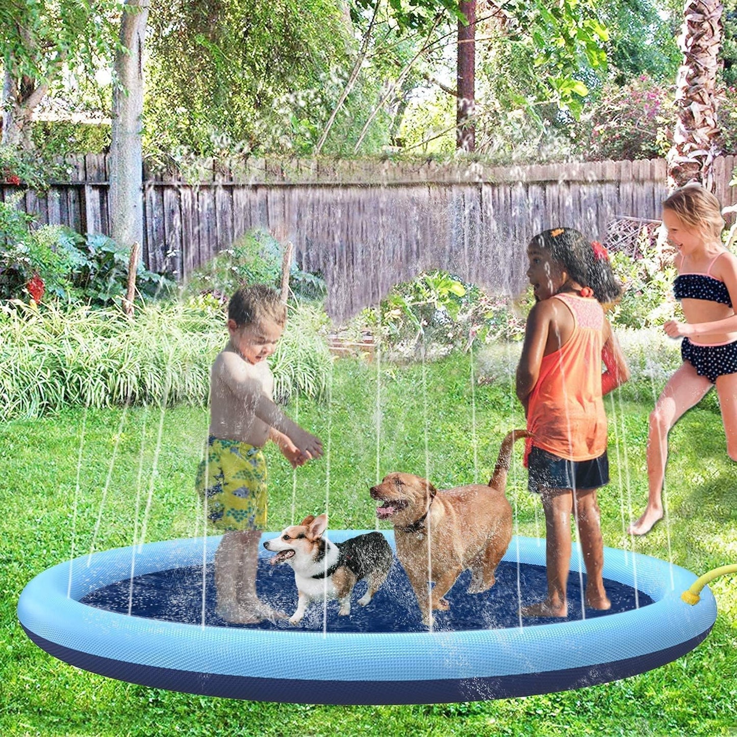 CoolPlay™ | Sommerlicher Wasserspaß für Hunde & Kinder