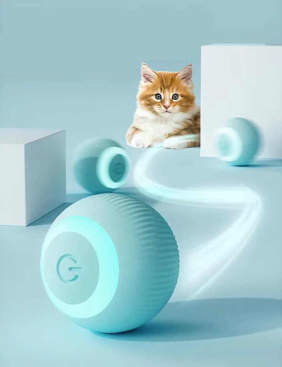 Endloser Spaß für Ihre Katze | 1+1 GRATIS