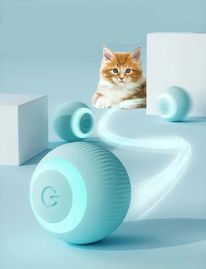 Endloser Spaß für Ihre Katze | 1+1 GRATIS
