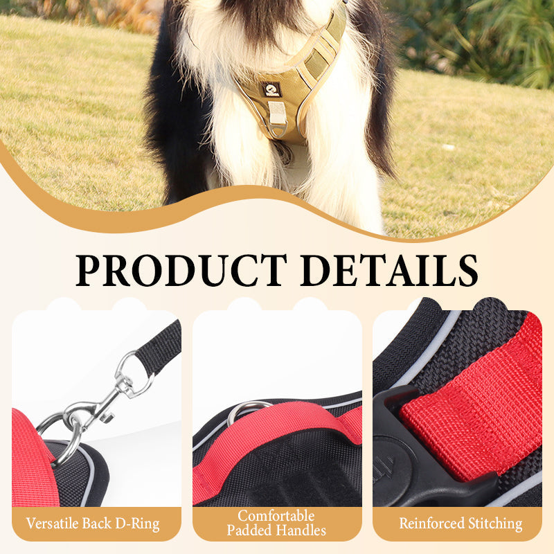 SafeGlow Harness™ | No-Pull Hundegeschirr mit LED-Halsband