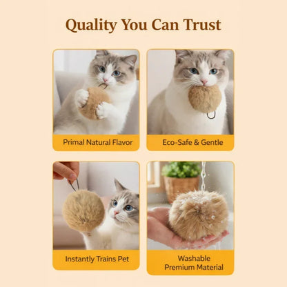 PlayPawz – Revives the Playful Energy of Cats