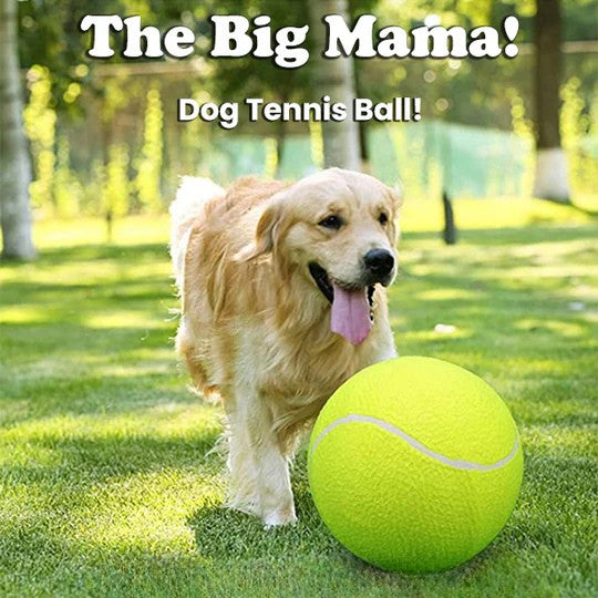 50% RABATT | MegaFetch™ | XXL Hundeball für endlosen Spielspaß