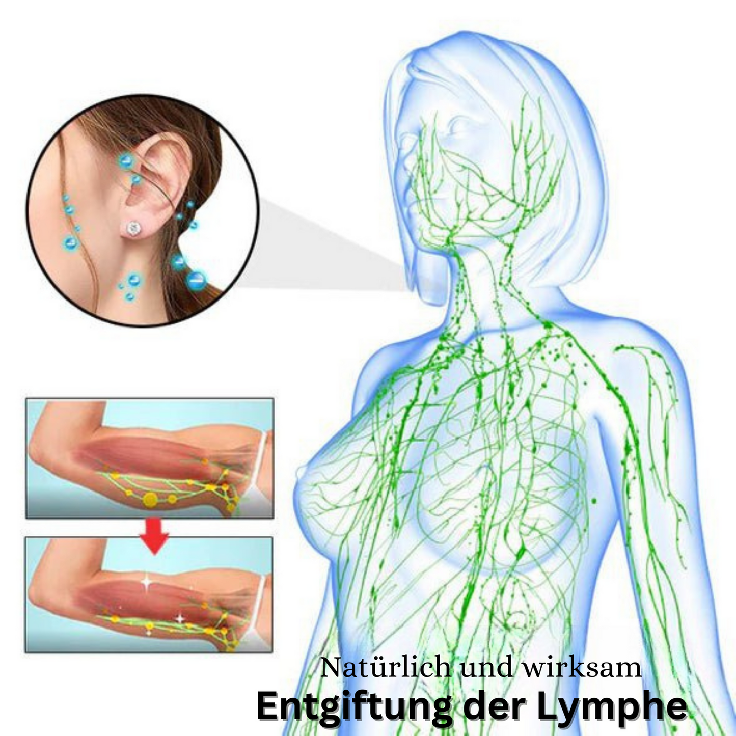 1+1 GRATIS | Acurani™️ Magnetische Therapie-Ohrringe
