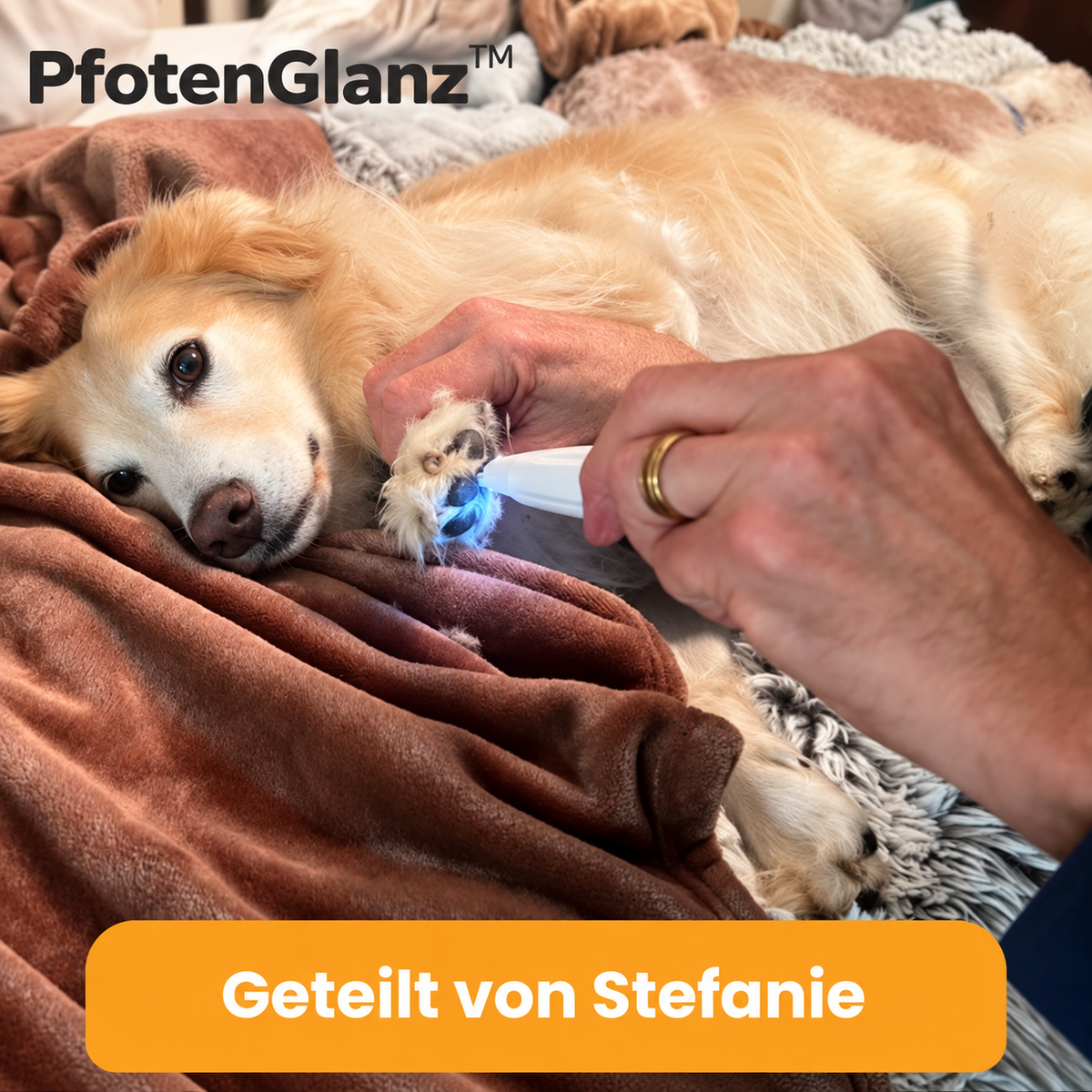 PfotenGlanz™ Elektrischer Pfotentrimmer