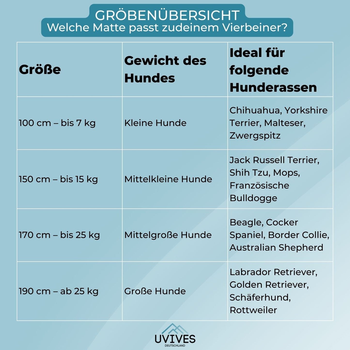 CoolPlay – Sommerlicher Wasserspaß für Hunde & Kinder