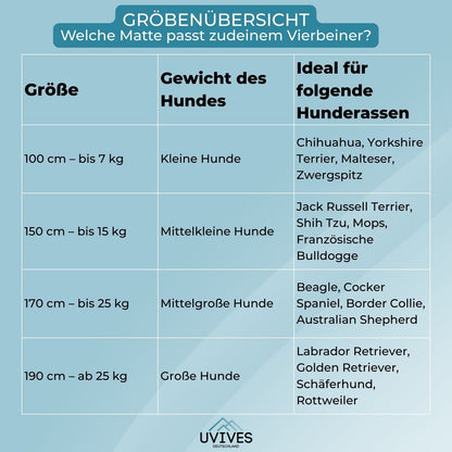 CoolPlay – Sommerlicher Wasserspaß für Hunde & Kinder