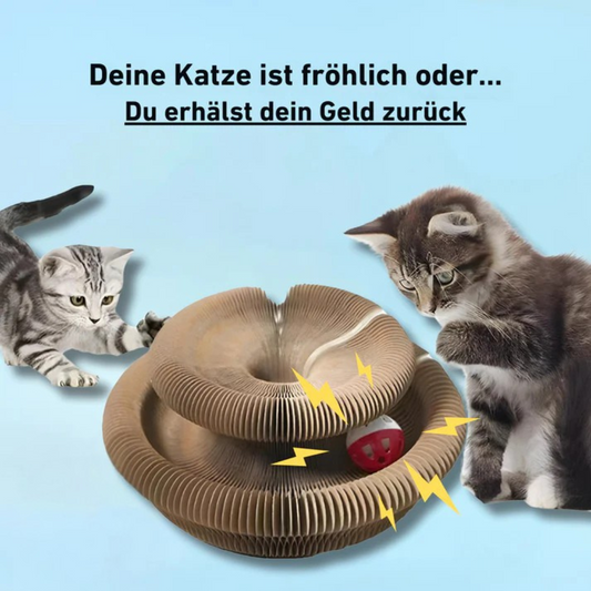 PouncePlay™ – Interaktives Kratzspiel mit Glöckchen für aktive Katzenmomente [50 % Rabatt]