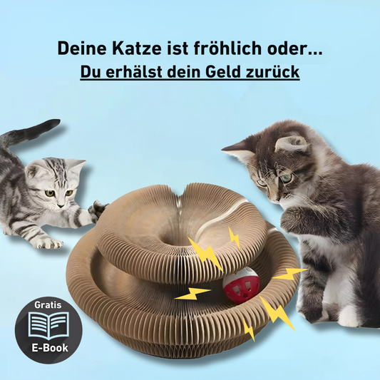 PouncePlay™ | Kratzspielzeug mit Glöckchenball