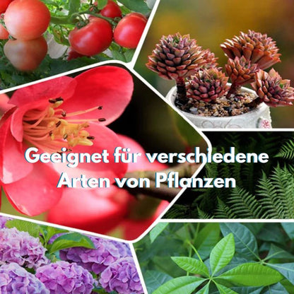 GrowBoost – Pflanzennährstofftabletten für Zimmer- und Gartenpflanzen