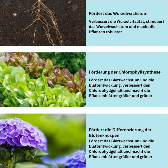 GrowBoost – Pflanzennährstofftabletten für Zimmer- und Gartenpflanzen