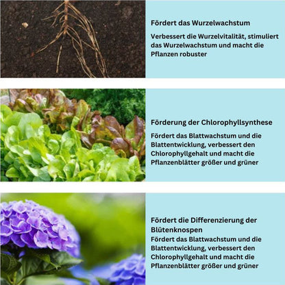 GrowBoost – Pflanzennährstofftabletten für Zimmer- und Gartenpflanzen