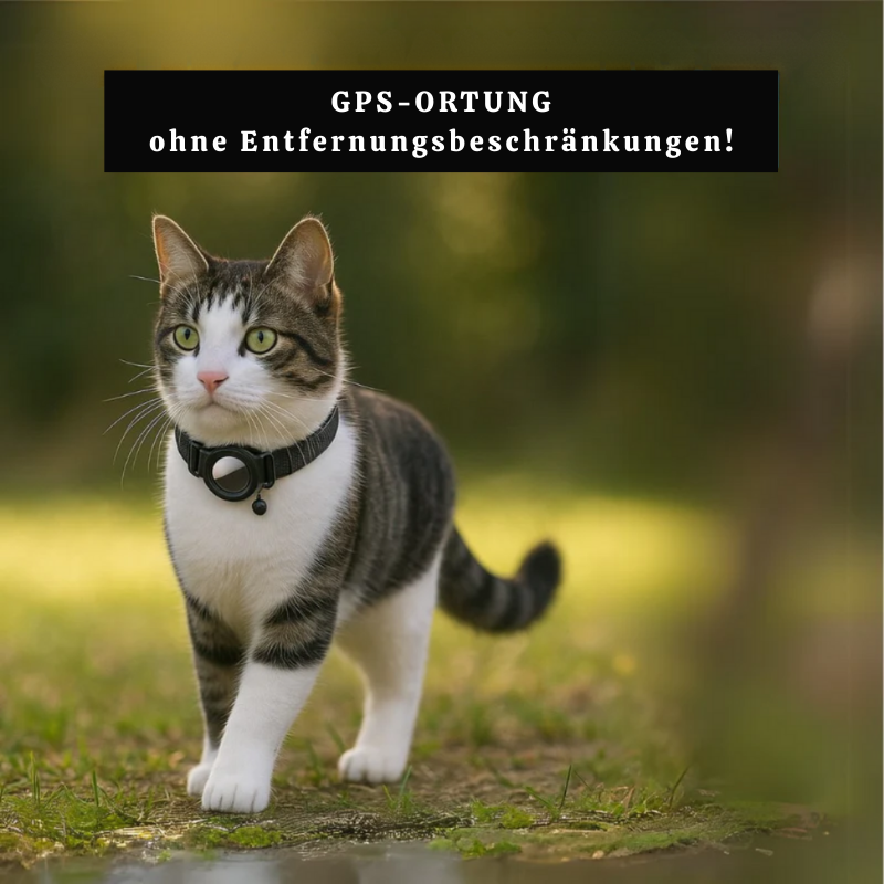 Haustier-GPS-Tracker | Echtzeit-GPS & Keine Abonnementgebühr | Wasserdichtes Nylon