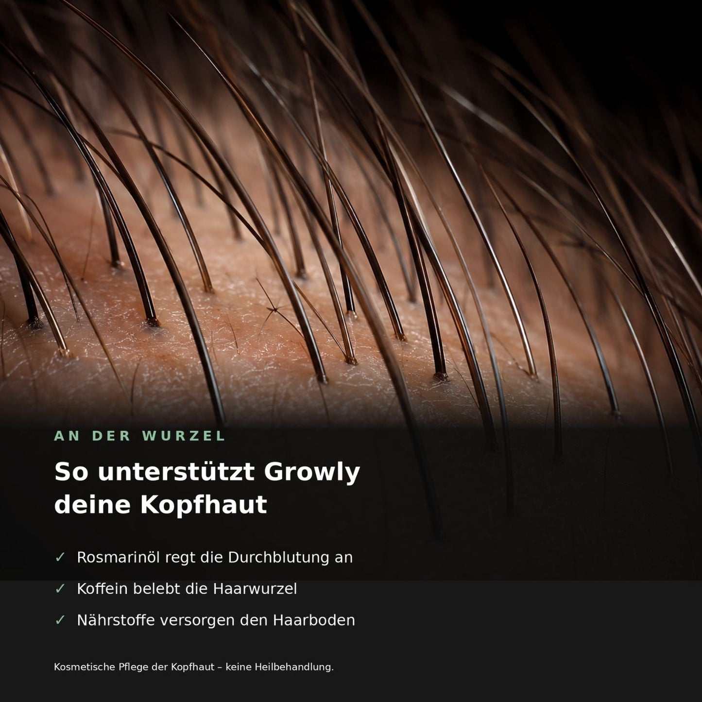 HairVella™ – Aufbauende Haarkur für geschmeidiges, glänzendes Haar