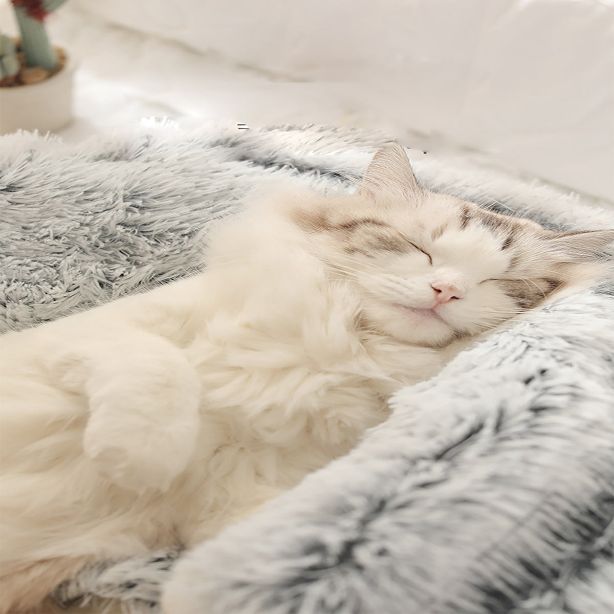 Hundebett | Waschbar & Weich | Gemütliches Komfortdesign