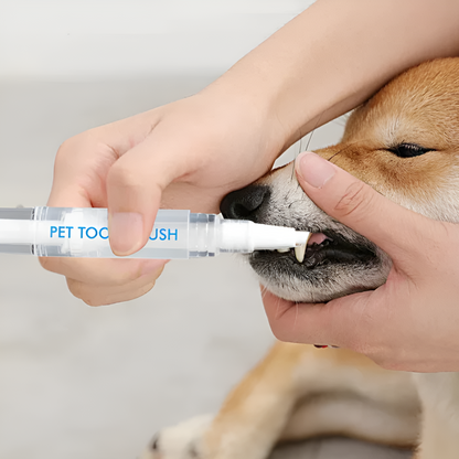 1+1 Gratis | PawBright | Saubere Zähne, glückliches Tier!