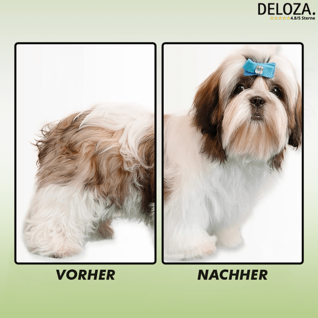 PetGlow™ – Sanfte Dampfbürste für stressfreie Fellpflege [50% Rabatt]