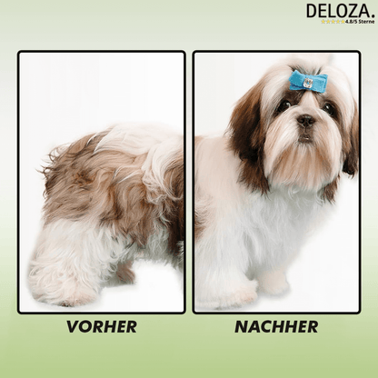 PetGlow™ – Sanfte Dampfbürste für stressfreie Fellpflege [50% Rabatt]