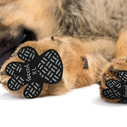 50% RABATT | PawSafe | 4 Stück SAnti-Rutsch-Schutz-Aufkleber
