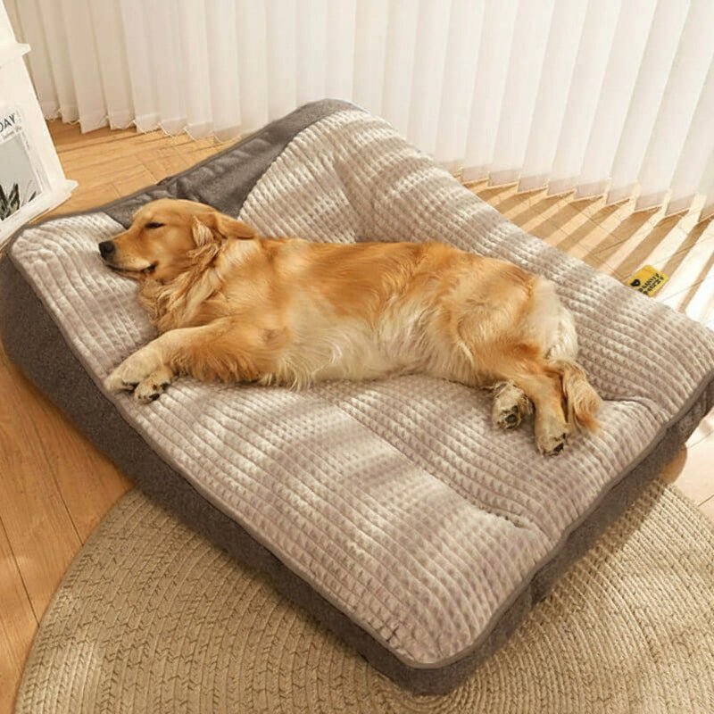 ComfortNest™ | Orthopädisches Hundebett mit Rand – Kratzfest