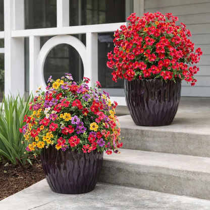1+1 Gratis | EverBloom™ – Die Ewige Blütenpracht
