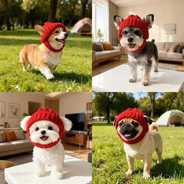 PupNest™ | Halten Sie Ihren kleinen Hund warm und stylisch