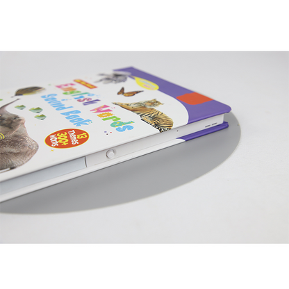 LinguaLeap™ | Interaktives Englisch-Lernbuch für Kinder