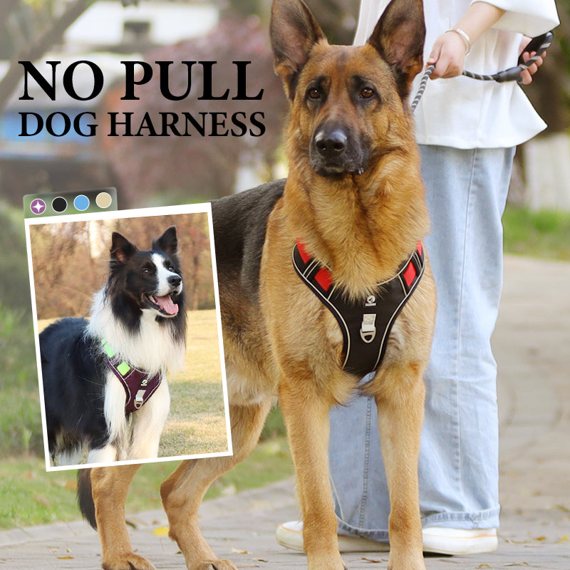 SafeGlow Harness™ | No-Pull Hundegeschirr mit LED-Halsband