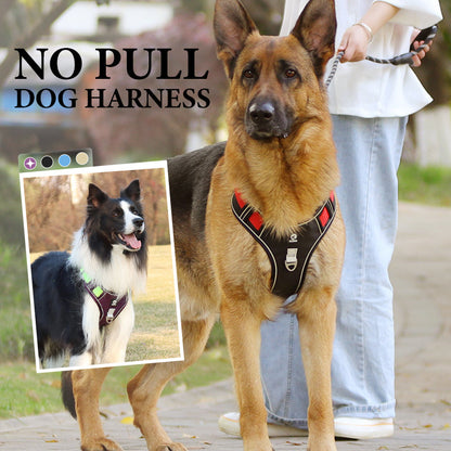 SafeGlow Harness™ | No-Pull Hundegeschirr mit LED-Halsband