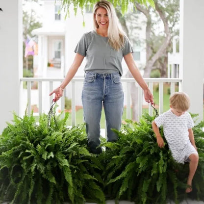 GreenGlow – Naturgetreuer künstlicher Bostonfarn