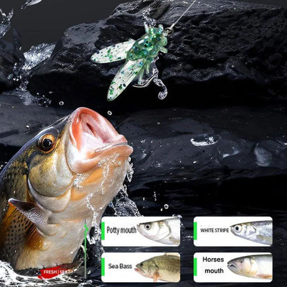 10+10 GRATIS | AquaCatch™ Garantierter Köder-Vorteil