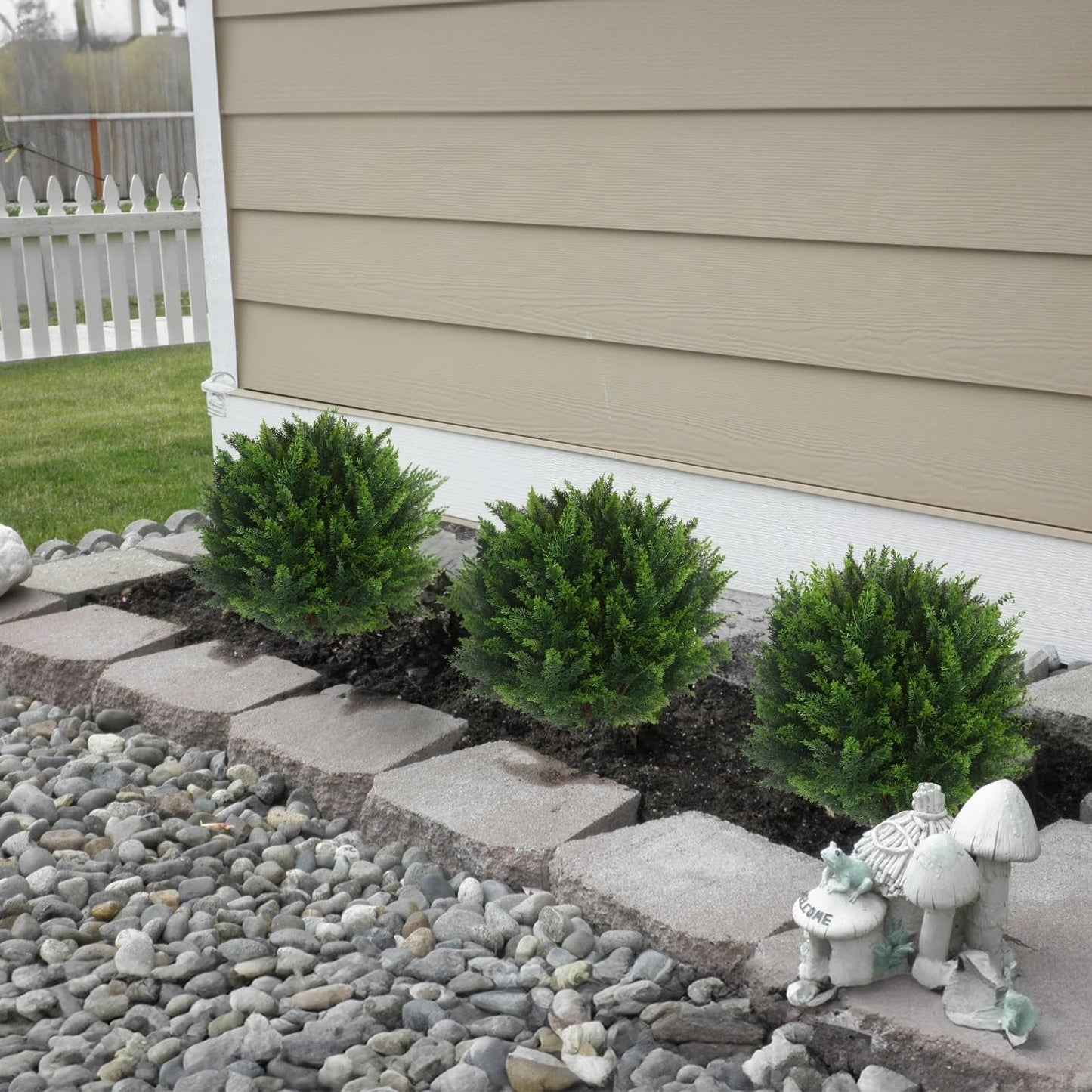 EverGreen-Zeder – dekorativer Outdoor-Baum im Topf