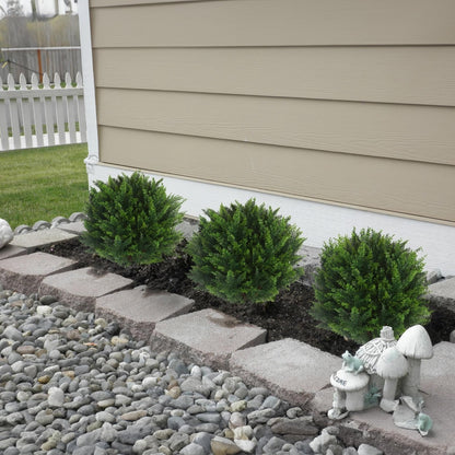 EverGreen-Zeder – dekorativer Outdoor-Baum im Topf