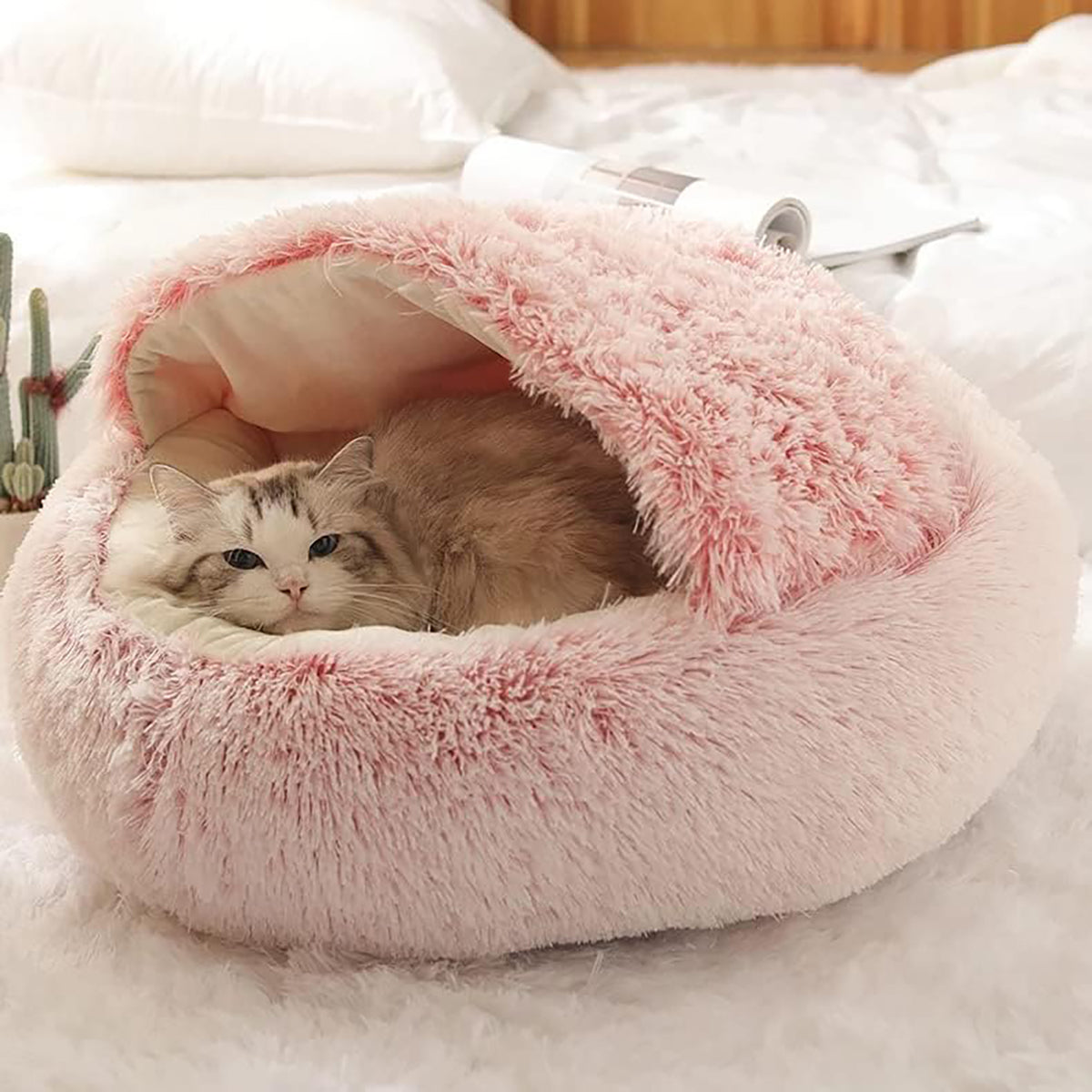 Hundebett | Waschbar & Weich | Gemütliches Komfortdesign