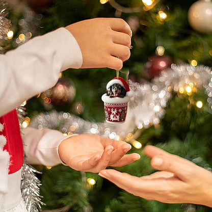 WuffJoy – Adventskalender für Dackelfreunde | 50% RABATT