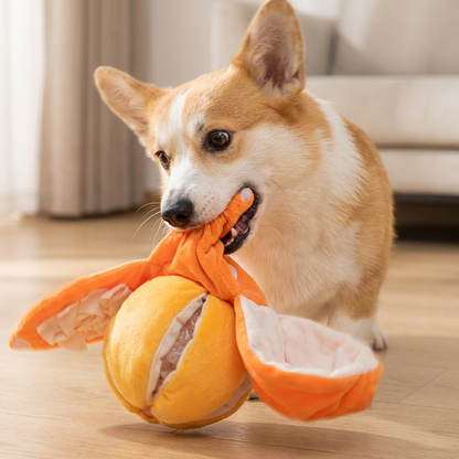 CitrusQuest — Interaktives Hundespielzeug | 50% RABATT