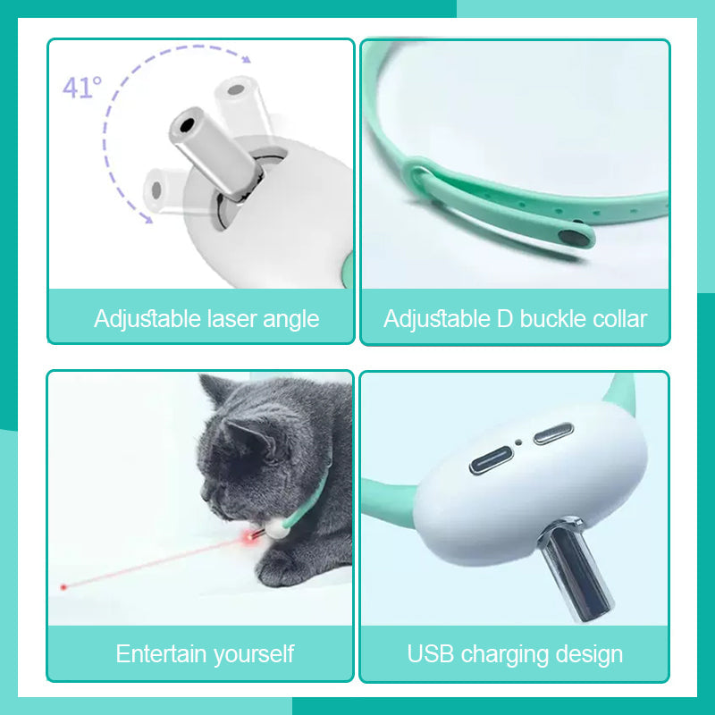 PurrPlay - Halten Sie Ihre Katze sofort aktiv, gesund und glücklich