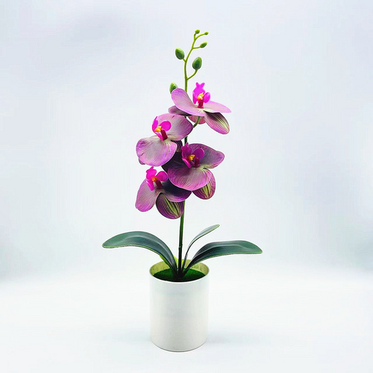 EverBud™ | Künstliche Orchidee für elegante & pflegefreie Dekoration