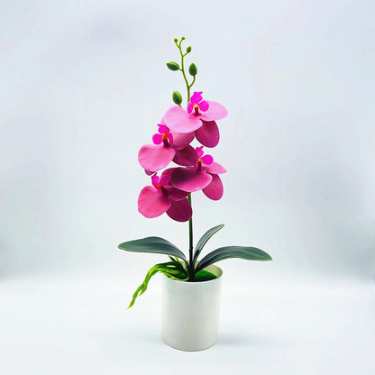 EverBud™ | Künstliche Orchidee für elegante & pflegefreie Dekoration