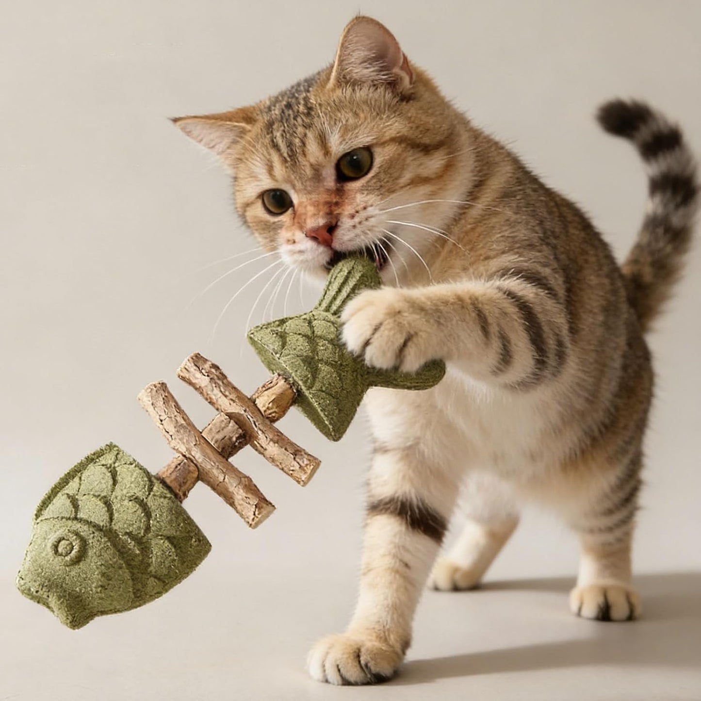 PurrEase™ | Natürliches Katzen-Kauspielzeug mit Silberwein & Katzenminze