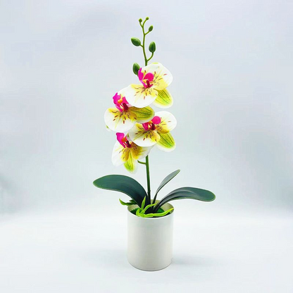 EverBud™ | Künstliche Orchidee für elegante & pflegefreie Dekoration