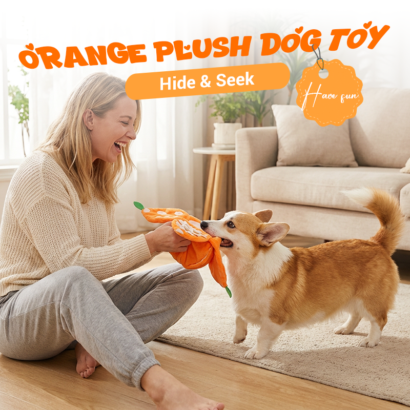 CitrusQuest — Interaktives Hundespielzeug | 50% RABATT