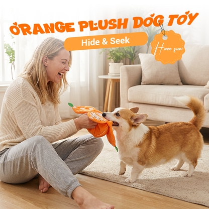 CitrusQuest — Interaktives Hundespielzeug | 50% RABATT