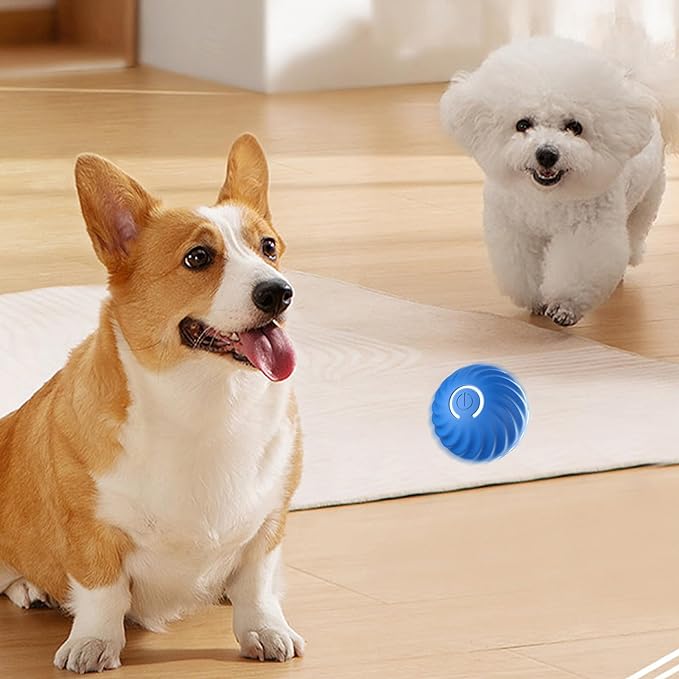 Automatischer intelligenter Hundeball zum Necken