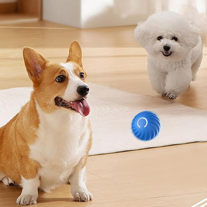 Automatischer intelligenter Hundeball zum Necken