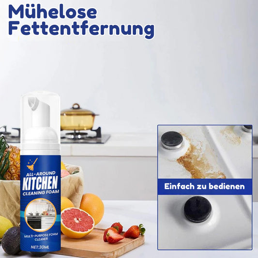 HygioFresh™ - Entfetter-Schaumspray [1 + 1 Gratis]